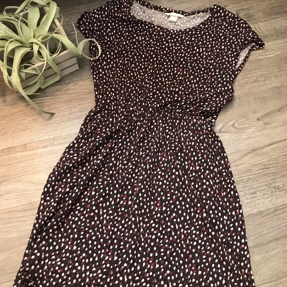 H&M Polka Dot Dress
